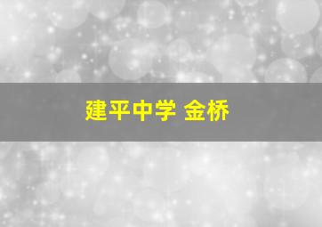 建平中学 金桥